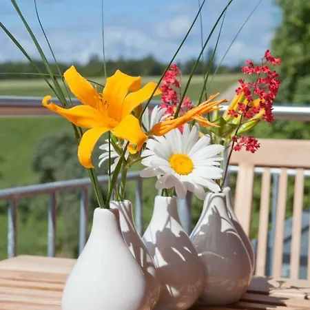 Appartamento Haus Lina Emmingen-Liptingen